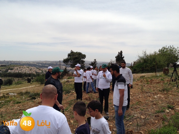 ludandyaffazaitoon (41).JPG